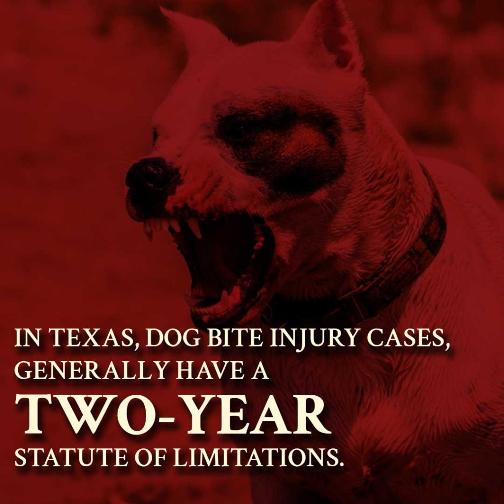 dog bite statute of limitations