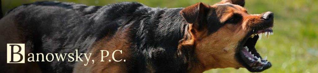 dog bite injuries